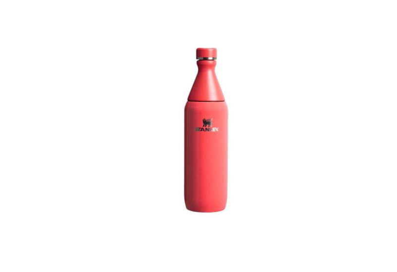 Stanley 1913 Thermoflasche Schlanke Flasche für den ganzen Tag, 0,6 l von Stanley 1913