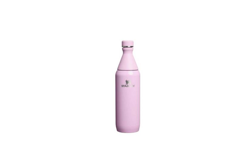 Stanley 1913 Thermoflasche Schlanke Flasche für den ganzen Tag, 0,6 l von Stanley 1913