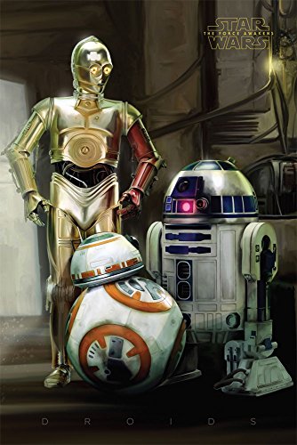 Poster (35r) Star Wars Droids (61x91,5) von Star Wars