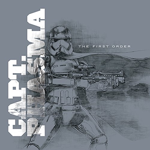 Star Wars Episode VII Captain Phasma - Grau, 40 x 40 cm, Leinwanddruck, Mehrfarbig von Star Wars