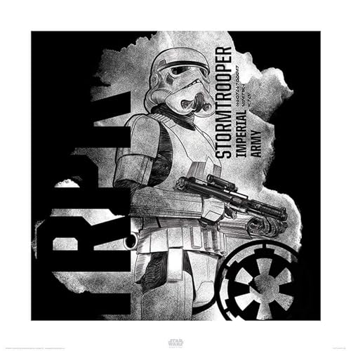 Star Wars Rogue One "Stormtrooper Smoke" 40 x 40cm Kunstdruck von Star Wars