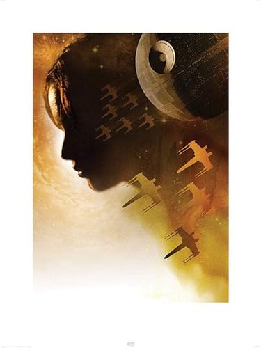 Star Wars Rogue One "Jyn Silhouette" 60 x 80cm Kunstdruck von Star Wars