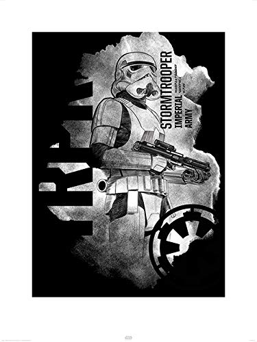 Star Wars Kunstdrucke, Papier, Mehrfarbig, 60 x 80 cm von Star Wars