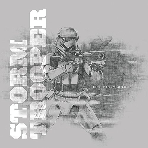 Star Wars Episode VII Stormtrooper - Grey, 40 x 40 cm, Leinwanddruck, Mehrfarbig von Star Wars