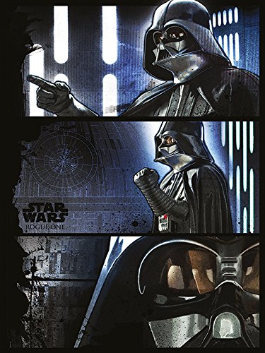 Star Wars Rogue One Vader Panels, 60 x 80 cm, Leinwanddruck, Mehrfarbig von Star Wars