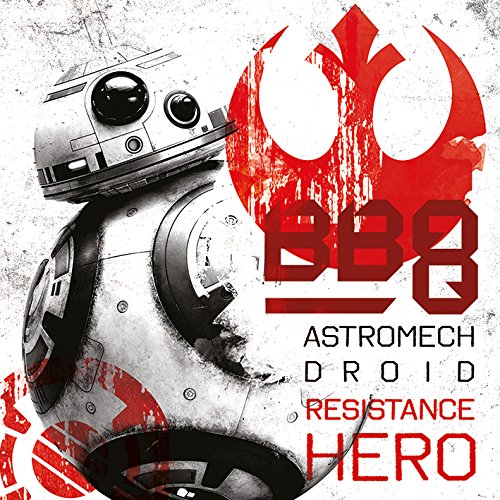Star Wars The Last Jedi "BB-8 Resistance Hero", 40 x 40 cm, Leinwanddruck von Star Wars