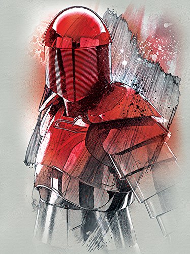 Star Wars The Last Jedi "Elite Guard Brushstroke", 60 x 80 cm, Leinwanddruck von Star Wars