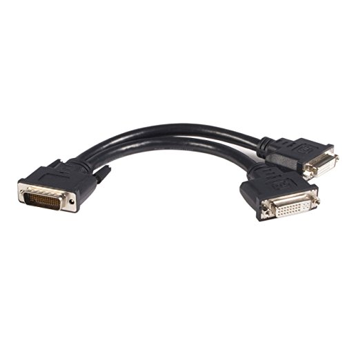 StarTech.com DMS-59 (DMS-60) Adapter Y Kabel, DMS59 LFH59 (LFH60) (Stecker) 2 x DVI I (Buchse) 29 pin, 2 Monitore, Kabellänge 20,3cm von STARTECH.COM