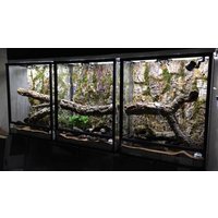 Natürlicher Kork Hintergrund - Getrocknete Pflanzen Paludarium Dekor Reptilien Tank Terrarium Orchideen Dekorativer von StargazerExotics