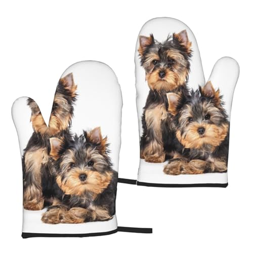 Zwei Yorkshire-Terrier-Welpen, Ofenhandschuhe, rutschfeste Kochhandschuhe, hitzebeständige Backhandschuhe, EIN Paar von Starluxia