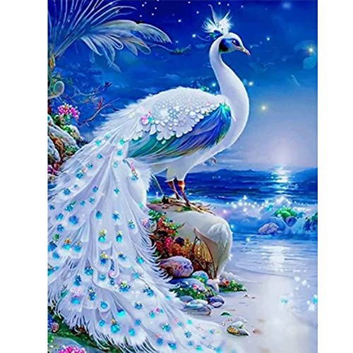 Starnearby DIY Diamond Painting Pfau Bilder, Geschenke für Frauen/Mama Deko, Voller Diamant Bilder für Malen Nach Zahlen Erwachsene 30 * 40 CM(A) von Starnearby