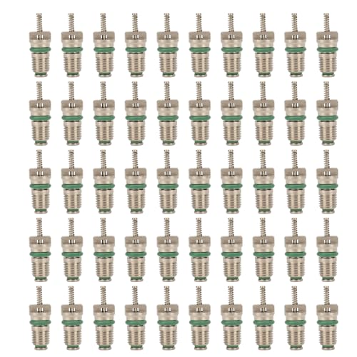 STARRYPXL R134A Auto Klimaanlage Ventil Kernkit 50pcs Druckstahl Spulen HLK AC für die Reparatur und Wartung von Fahrzeugen von Starrypxl