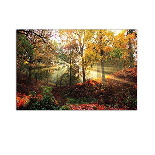 Startonight Bild auf Acrylglas - Herbst Wald - Abstrakte Modernes Acrylglasbild - Deko Glas 60 x 90 cm von Startonight