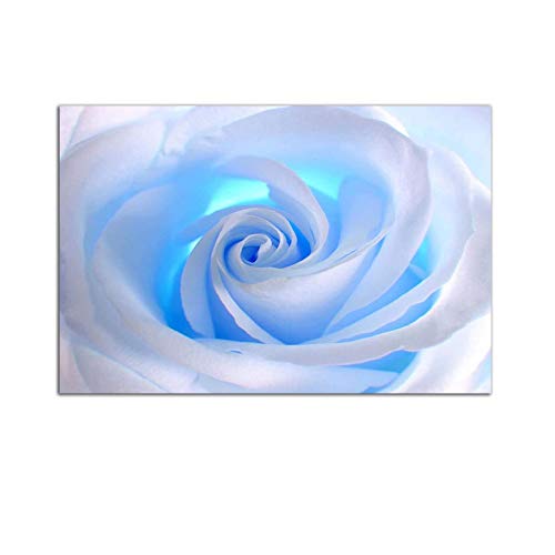 Startonight Bild auf Acrylglas - Weiße Blaue Rose - Abstrakte Modernes Acrylglasbild - Deko Glas 60 x 90 cm von Startonight