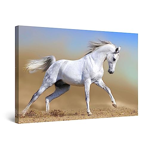 Startonight Bilder Arabisches Pferd, Leinwandbilder Moderne Kunst, Tiere Wanddeko Kunstdrucke, Wandbilder XXL 80 x 120 cm, Tag Nacht Bild von Startonight