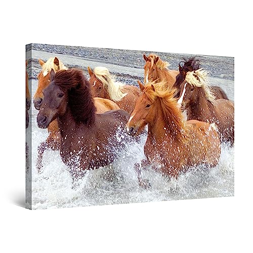 Startonight Bilder Pferde Wasser, Leinwandbilder Moderne Kunst, Tiere Wanddeko Kunstdrucke, Wandbilder 60 x 90 cm, Tag Nacht Bild von Startonight