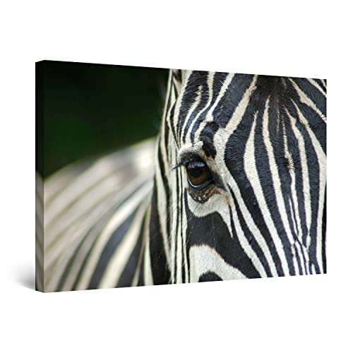 Startonight Bilder Schwarz und Weiss Zebra, Leinwandbilder Moderne Kunst, Tiere Wanddeko Kunstdrucke, Wandbilder 60 x 90 cm, Tag Nacht Bild von Startonight
