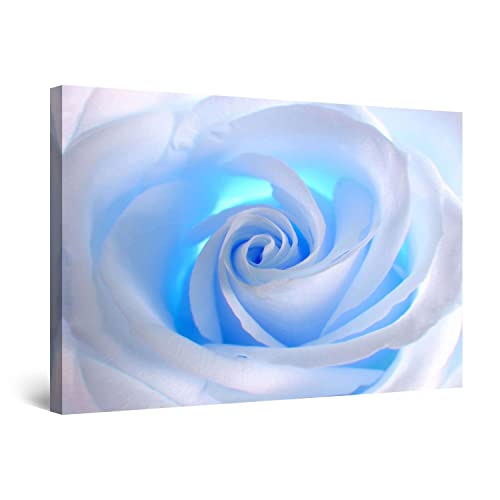 Startonight Bilder Weiße Rose Blume, Leinwandbilder Moderne Kunst, Abstrakte Wanddeko Kunstdrucke, Wandbilder 60 x 90 cm, Tag Nacht Bild von Startonight