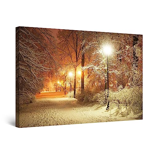 Startonight Bilder Winter Park, Leinwandbilder Moderne Kunst, Landschaft Wanddeko Kunstdrucke, Wandbilder 60 x 90 cm, Tag Nacht Bild von Startonight