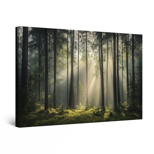 Startonight Wandkunst auf Leinwand – Bäume, Wald, Lichtstrahlen – Kunstwerk, Fertig zum Aufhängen für Schlafzimmer oder Wohnzimmer, Großes Bild, Wanddekorationsdruck, Schlafzimmer 60 x 90 cm von Startonight
