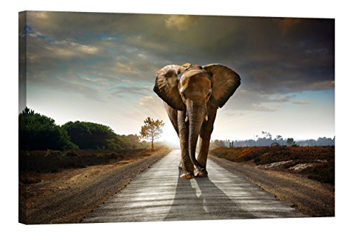 Startoshop Wallart PICMA nachleuchtende Wandbild XXL Leinwand Wanddeko Leinwandbild Straße für einen Elefant Kunstdruck Bild von Startoshop Wallart