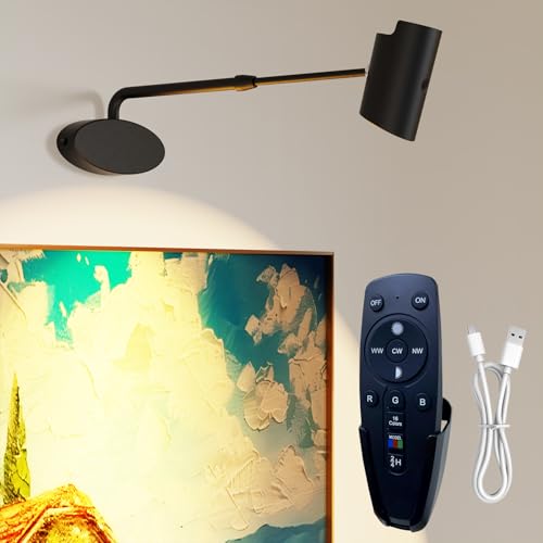 Starxing Kabelloses Bildlicht mit Fernbedienung, einstellbare Länge Display Licht batteriebetrieben, 16 RGB Display Lampen Dimmer Timer für Dartboard Fotos von Starxing