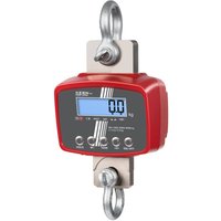 KERN Kranwaage HFD IP67, mit Funk-Fernbedienung, Wägebereich max. 6 t von Kern