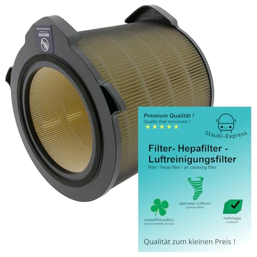 2x Filter kompatibel mit AEG AX91-404DG Ersatz für Breathe360 AFDBTH6 | Breathe 360 Luftfilter I Hepafilter von Staubi-Express
