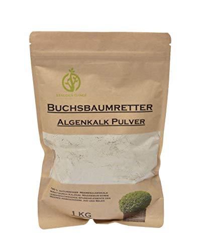 Stauden Gänge Algenkalk Pulver 1kg im umweltfreundlichen Papierbeutel wiederverschließbar/Buchsbaumretter/Das Original/mit Anleitung/Buchsbaum Kur/Buchsbaumdünger von Stauden Gänge