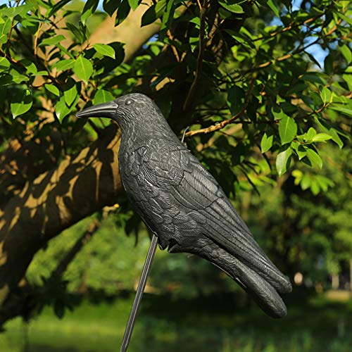 Premium Vogelschreck schwarzer Rabe Scaring Bird - wetterfester Kunststoff - Taubenschreck Krähe Rabe Vogelscheuche Schutz Abschreckungsraben Abschreckungswaffe Garten Gartenfigur (A/1PCS) von Stay&me