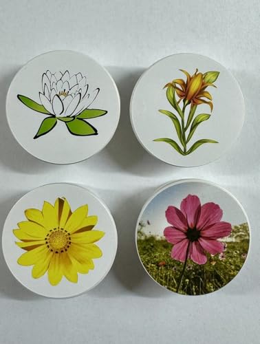 Steckel Deko DS-111 dekorative Steckdosen Abdeckung Staubschutz Deckel Steckdosendeckel Abdeckung für saubere Schuko-Steckdosen Leisten Mehrfachsteckdosen Spritzschutz Design (Blumenmix) Steckel Deko DS-111 dekorative Steckdosen Abdeckung Staubschutz Deckel Steckdosendeckel Abdeckung für saubere Schuko-Steckdosen Leisten Mehrfachsteckdosen Spritzschutz Design (Blumenmix) von Steckel