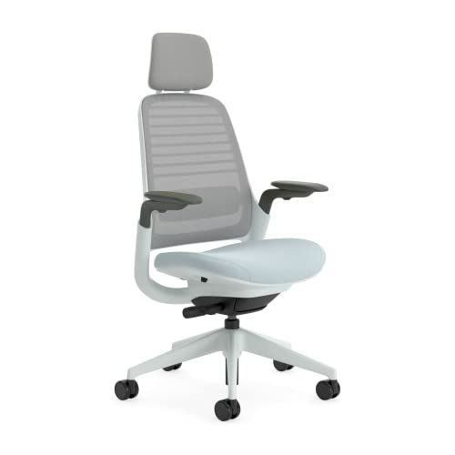 Steelcase Series 1 Ergonomischer Bürostuhl mit LiveBack Lumbalstütze, 4D-Armlehnen, anpassbarer Kopfstütze Sturmhorizont, 66 x 64 x 112 von Steelcase