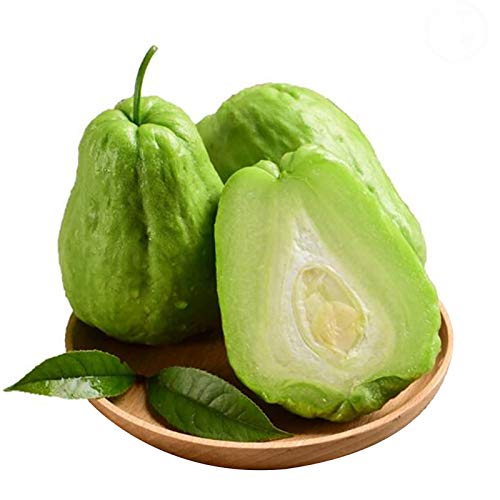 Steelwingsf 20 Stück/Beutel Chayote-Samen Sonnenschein Brauchen Sie Nahrhaftes Vitamin Enthalten Natürliche Chayote-Pflanzensamen Für Gartenblumen Samen Für Das Pflanzen Im Freien Chayote-Samen von Steelwingsf