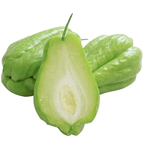 Steelwingsf 50 teile/beutel Chayote-Samen, essbare gute Ernte frisch aus gezeichnet produzierend Gartens amen zum Pflanzen, natürliche Chayote-Pflanzens amen Chayote Samen von Steelwingsf