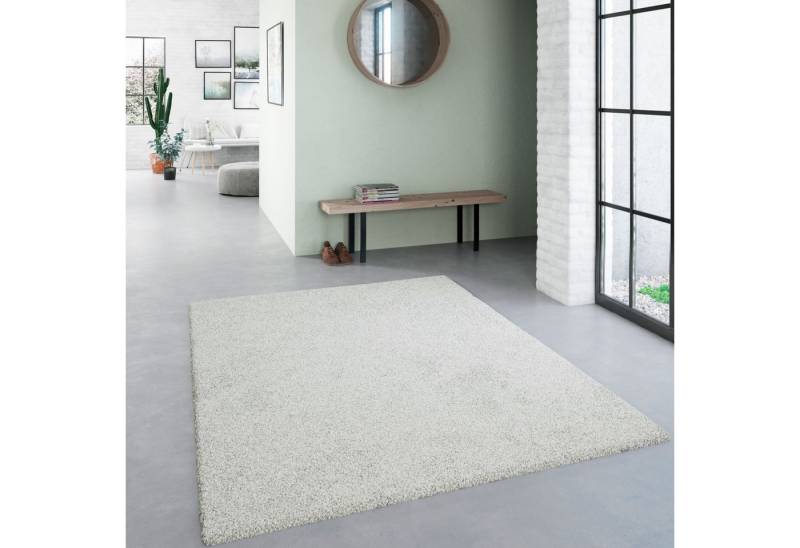 Steffensmeier Hochflor-Teppich Sevilla, Rechteckig von Steffensmeier