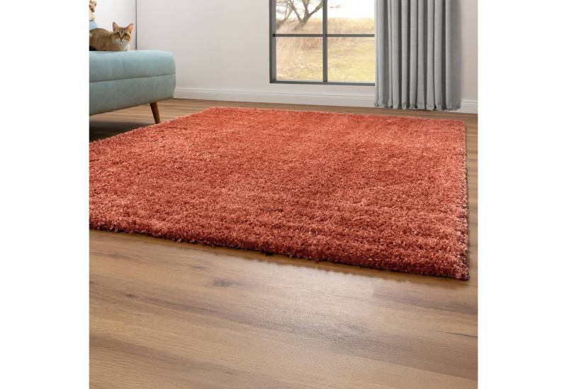Steffensmeier Hochflor-Teppich Valencia, Rechteckig, Shaggy, Langflor, Kunstfell Steffensmeier Hochflor-Teppich Valencia, Rechteckig, Shaggy, Langflor, Kunstfell von Steffensmeier