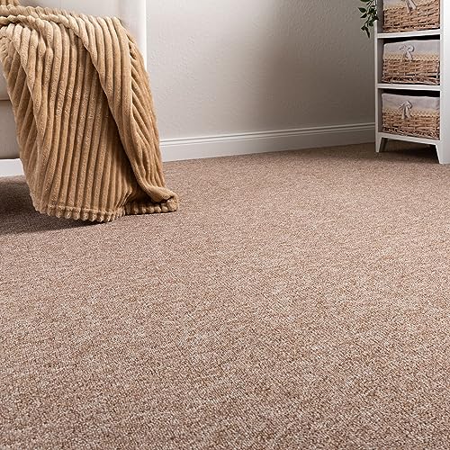 Steffensmeier Schlingen Teppichboden Meddon XL Meterware | Auslegware für Flur Büro | 1m 2m 3m 4m 5m breit! | Beige, Größe: 100x600 cm Steffensmeier Schlingen Teppichboden Meddon XL Meterware | Auslegware für Flur Büro | 1m 2m 3m 4m 5m breit! | Beige, Größe: 100x600 cm von Steffensmeier