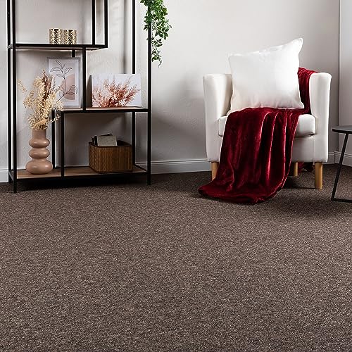 Steffensmeier Schlingen Teppichboden Meddon XL Meterware | Auslegware für Flur Büro | 1m 2m 3m 4m 5m breit! | Braun, Größe: 300x200 cm von Steffensmeier