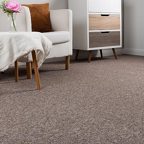 Steffensmeier Schlingen Teppichboden Meddon XL Meterware | Auslegware für Flur Büro | 1m 2m 3m 4m 5m breit! | Sand, Größe: 400x400 cm von Steffensmeier