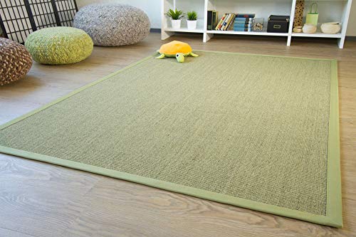 Steffensmeier Sisal Teppich Brazil mit Bordüre Farbe grün Premium Qualität 100% Sisal, Größe: 200x200 cm von Steffensmeier