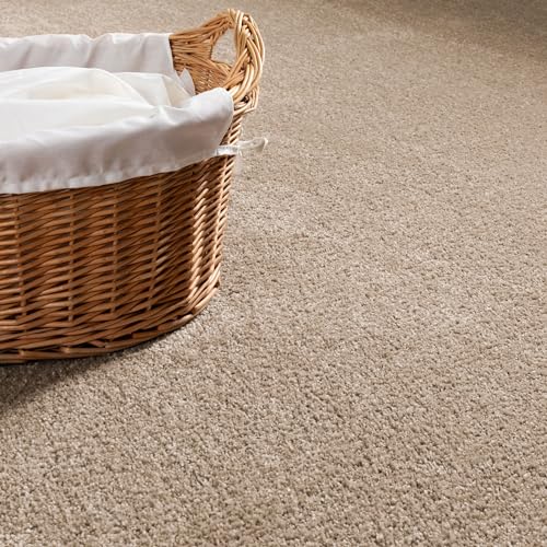 Steffensmeier Teppichboden Cambridge | Meterware Auslegware Wohnzimmer Schlafzimmer Kinderzimmer | sand | 200x300 cm Steffensmeier Teppichboden Cambridge | Meterware Auslegware Wohnzimmer Schlafzimmer Kinderzimmer | sand | 200x300 cm von Steffensmeier