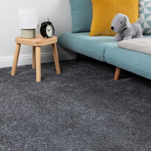 Steffensmeier Teppichboden Korsika Meterware | Auslegware für Kinderzimmer Wohnzimmer Schlafzimmer | Anthrazit, Größe: 500x500 cm von Steffensmeier
