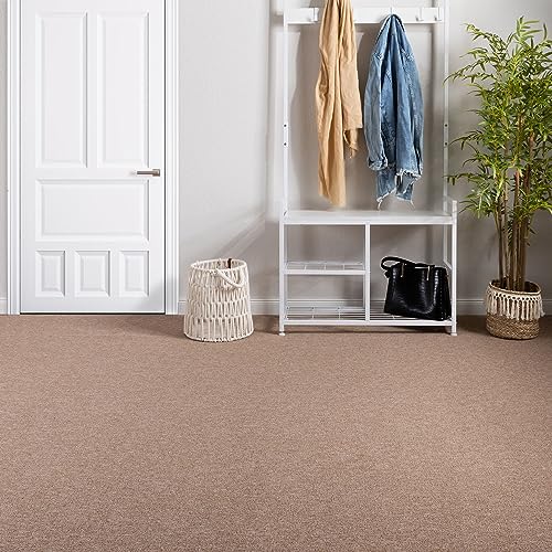 Steffensmeier Teppichboden Meddon Meterware | Auslegware für Kinderzimmer Wohnzimmer Schlafzimmer | Beige, Größe: 100x200 cm von Steffensmeier