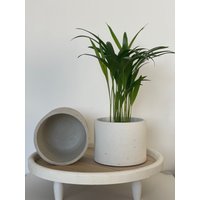 Blumentopf | Übertopf Beton Topf Rund| Betontopf Handmade Blumenübertopf Pflanztopf von SteffiLieblingsstcke