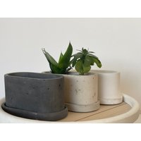 Pflanztopf Beton Oval | Blumentopf Übertopf Pflanzgefäß von SteffiLieblingsstcke