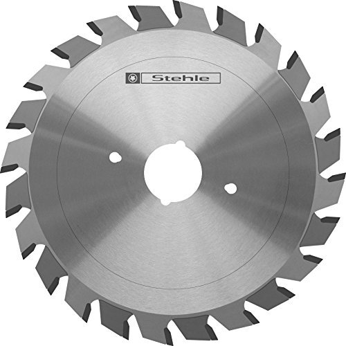 Stehle HW RS2 Ritz-Kreissägeblatt 100x2,8-3,6/2,2x20mm Z=2x10 Flachzahn mit verstellbarer Schnittbreite von Stehle