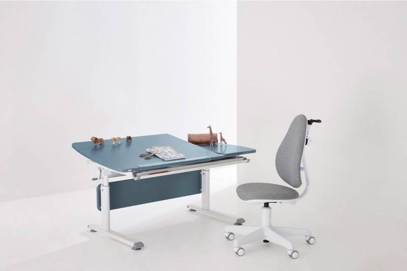 PAIDI Kinderschreibtisch DIEGO CURVED GT, Schülerschreibtisch, ergonomisch, mitwachsend, stufenlos höhenverstellbar, geteilte Tischplatte neigbar von PAIDI