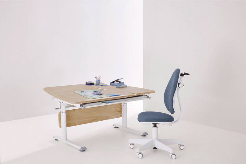 PAIDI Kinderschreibtisch DIEGO CURVED GT, Schülerschreibtisch, ergonomisch, mitwachsend, stufenlos höhenverstellbar, geteilte Tischplatte neigbar von PAIDI