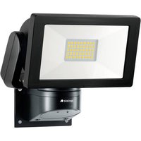 Steinel LS 300 SW 069230 LED-Außenstrahler EEK: F (A - G) 29.5W von Steinel