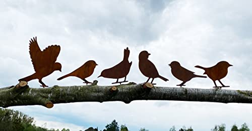 6er Set VÖGEL mit Schraube zum Eindrehen in Holz Edelrost Gartendeko Rost Vogel Spatz AST Gartenzaun Metall Rostfigur von Steinfigurenwelt von STEINFIGURENWELT GIEBEN